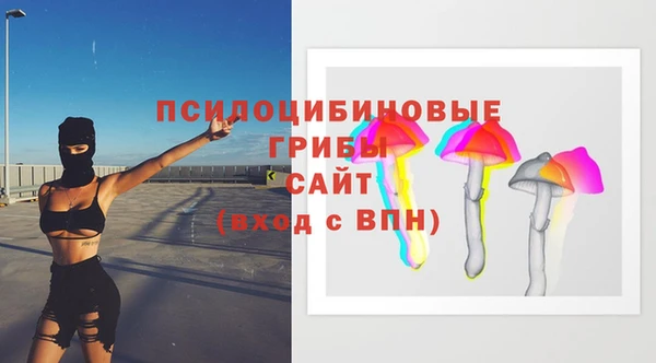 бошки Нязепетровск