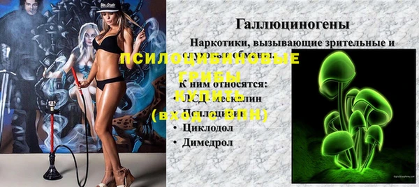 a pvp Няндома