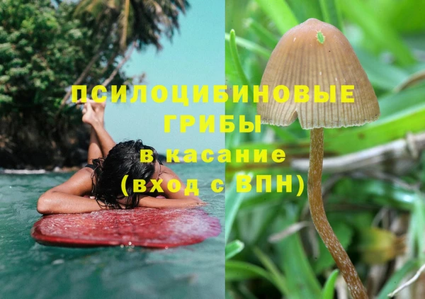 бошки Нязепетровск