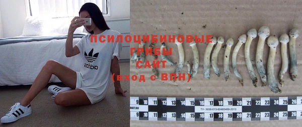 ешки Сафоново